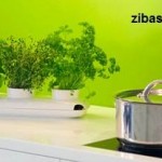 سبزی سفره را خود بکارید