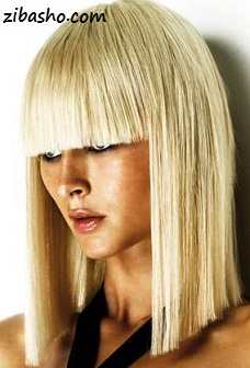 کوتاهی مصری