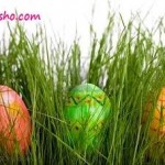 سبزه آرایی نوروزی 