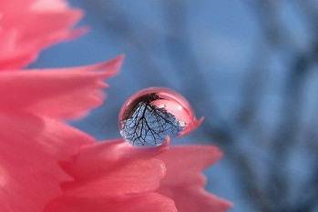 عکس خدا در اشک عاشق