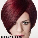 آموزش کوتاهی مدل باب