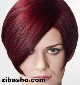 مدل کوتاهی باب