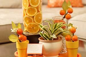 معطر کردن خانه