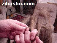 بافت چهارتایی