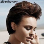 آموزش کوتاهی مدل باب گرد