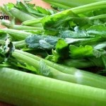 اندر خواص کرفس