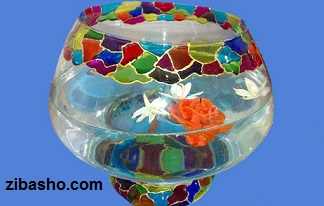 تنگ ماهی ویترای