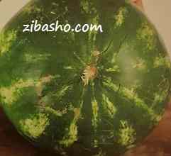 20141203_194444 - Copy