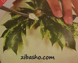 20141203_194500 - Copy