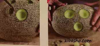 آموزش تزئین شب یلدا