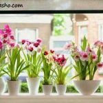 کدام گلدان برای دکوراسیون منزل شما مناسب است؟!