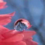 بهشت همان قلب توست