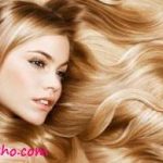 غذاهایی برای سلامت موها