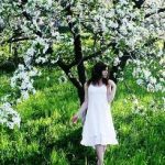 هرسال بهار می آید