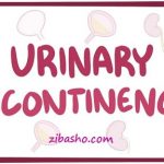 سه راه برای متوقف کردن بی اختیاری ادرار