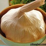 همه چیز راجع به سیر