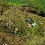 برای داشتن یک پیک نیک سالم